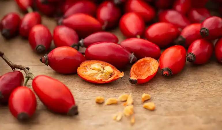 Kozmetik Dünyasında Kuşburnu Çekirdeği Öğütme Sanatı ve Doğal Güzellik Sırları