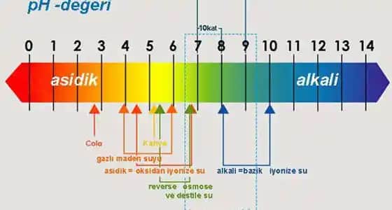 Kozmetikte En Yüksek pH Değerine Sahip Suların Özellikleri ve Cilt Bakımındaki Rolü