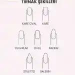 Kozmetikte Tırnak İsimleri ve Doğru Ürün Seçimi İçin Bilmeniz Gerekenler