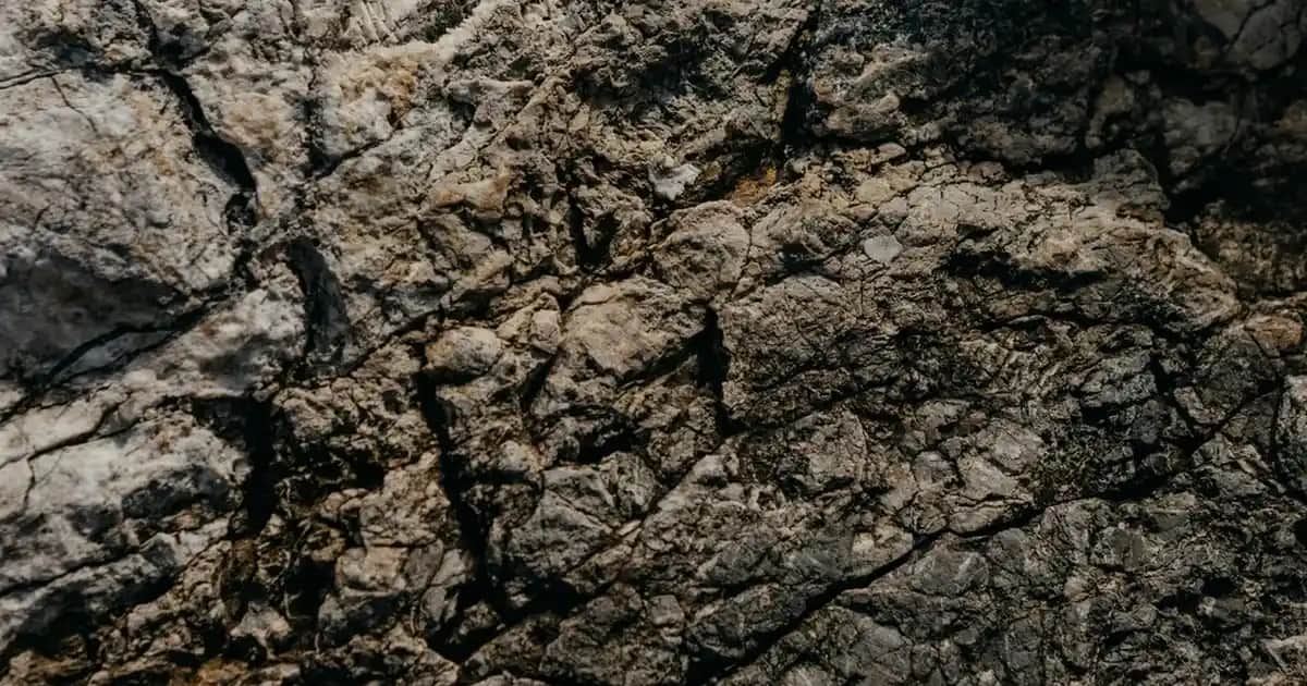 Kuru Ciltler İçin Etkili Bakım Rehberi: Nemlendirici ve Doğal Çözümlerle Sağlıklı Cilt