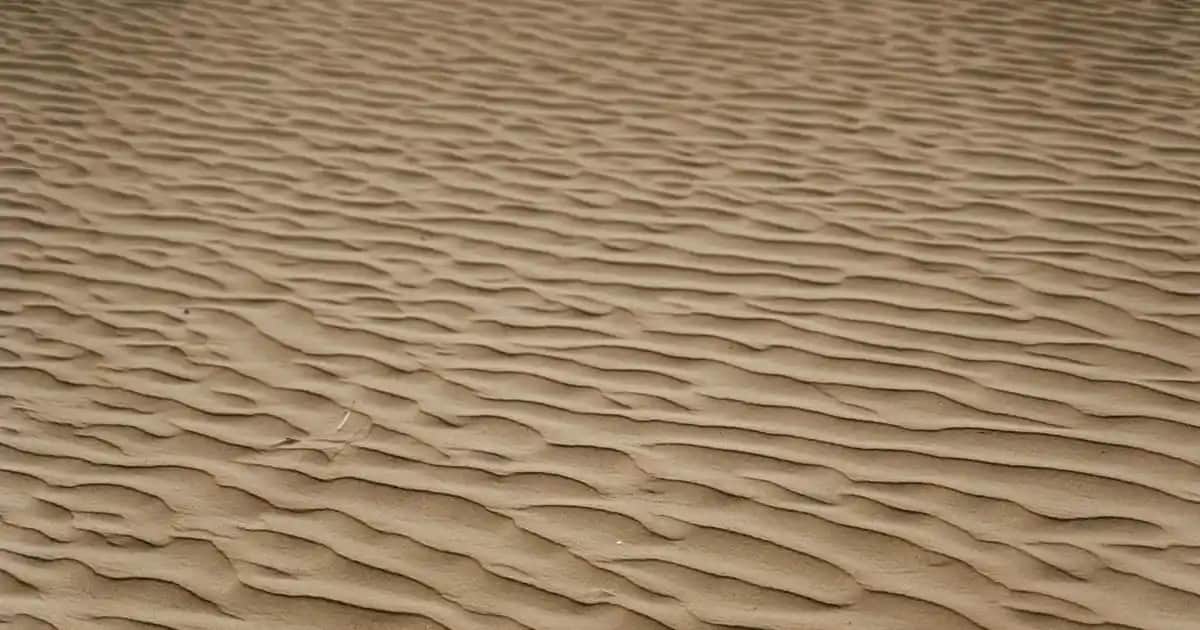 Kutup Tilkisi (Vulpes lagopus): Soğuk İklimlere Uyum Sağlayan Doğal Mucize