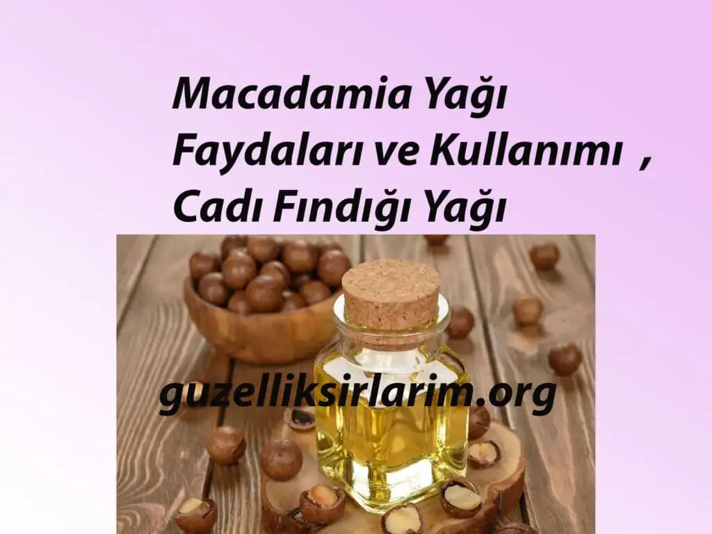 Makadamiya Yağı: Doğal Kozmetik İçin Güçlü ve Çok Yönlü Bir Seçenek