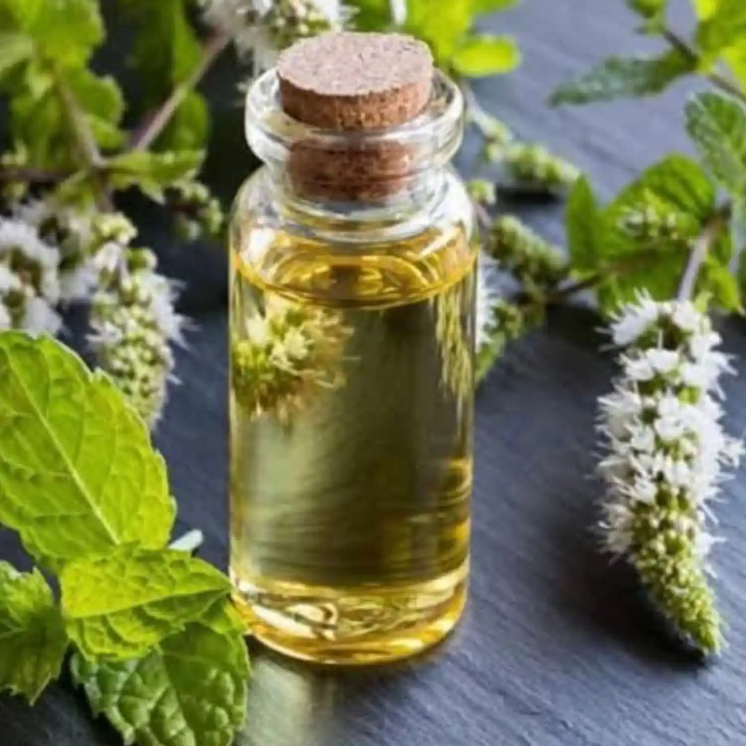 Nane Yağı ve Kozmetikte Kullanım Alanları: Doğal Güzellik İçin Güçlü Bir Bileşen