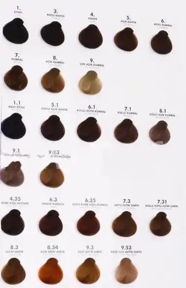 Neva Color Renk Kataloğu ile Kozmetik Dünyasında Renklerin Gücü ve Trendleri