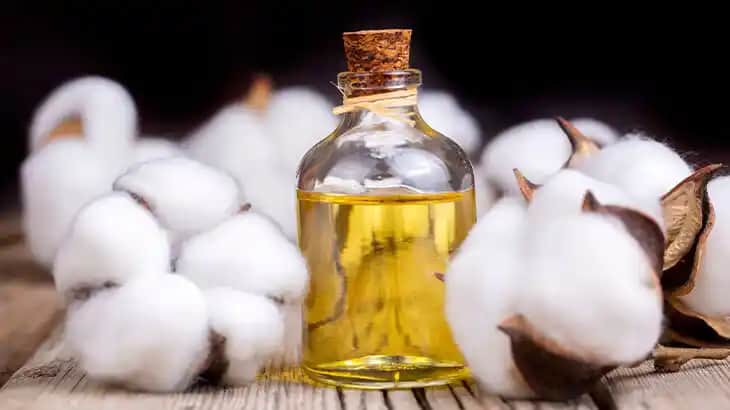Pamuk Yağı: Doğal Güzellik ve Sağlık İçin Güçlü Bir Cilt Bakım Kaynağı