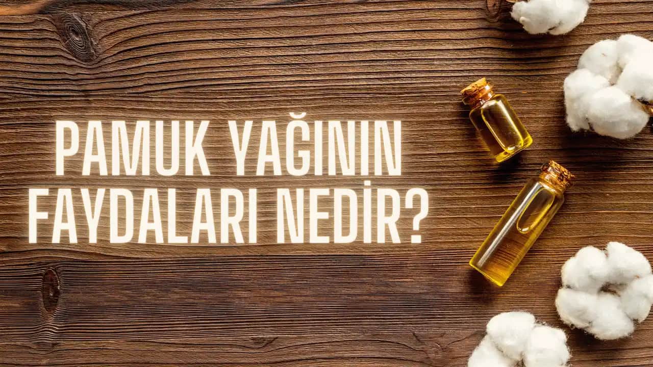 Pamuk Yağı ve Cilt Sağlığı: Doğal Bakımın Gücü ve Kullanım Yöntemleri