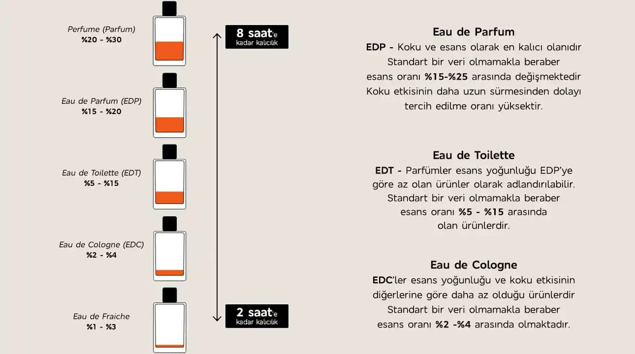 Parfüm Kalıcılık Sıralaması ve En Uzun Süre Etki Eden Parfümler Hakkında Bilgiler