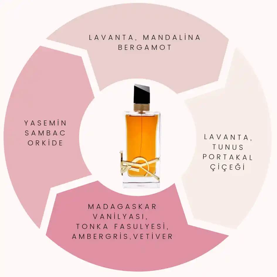 Parfüm Trendleri ve Kişisel İfade İçin En İyi Parfüm Seçim Rehberi