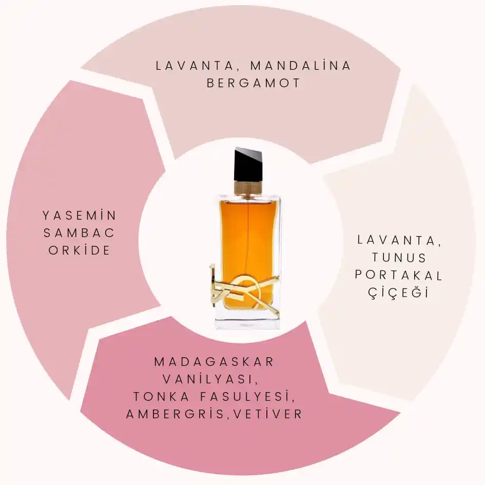 Parfüm Trendleri ve Kişisel İfade İçin En İyi Parfüm Seçim Rehberi