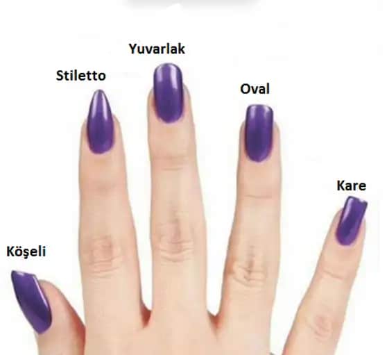 Protez Tırnak Türleri ve Kullanım Alanlarına Göre Doğru Seçenekler Rehberi