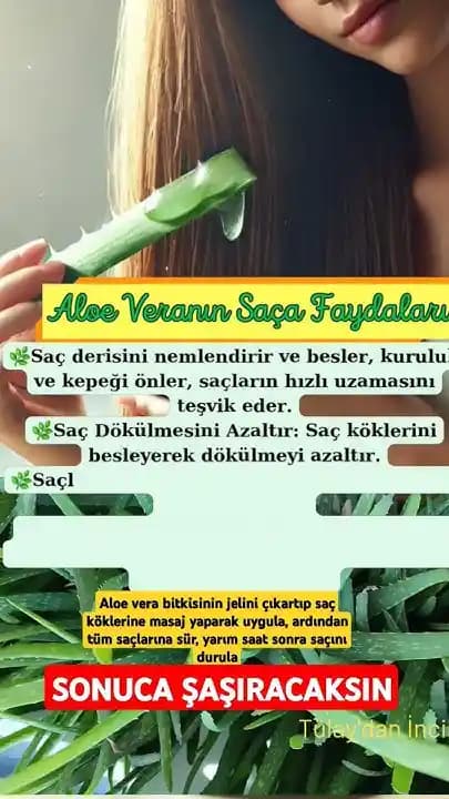 Saç Bakımında Aloe Vera Kullanımı: Doğal Güzelliğin Sırrı ve Faydaları