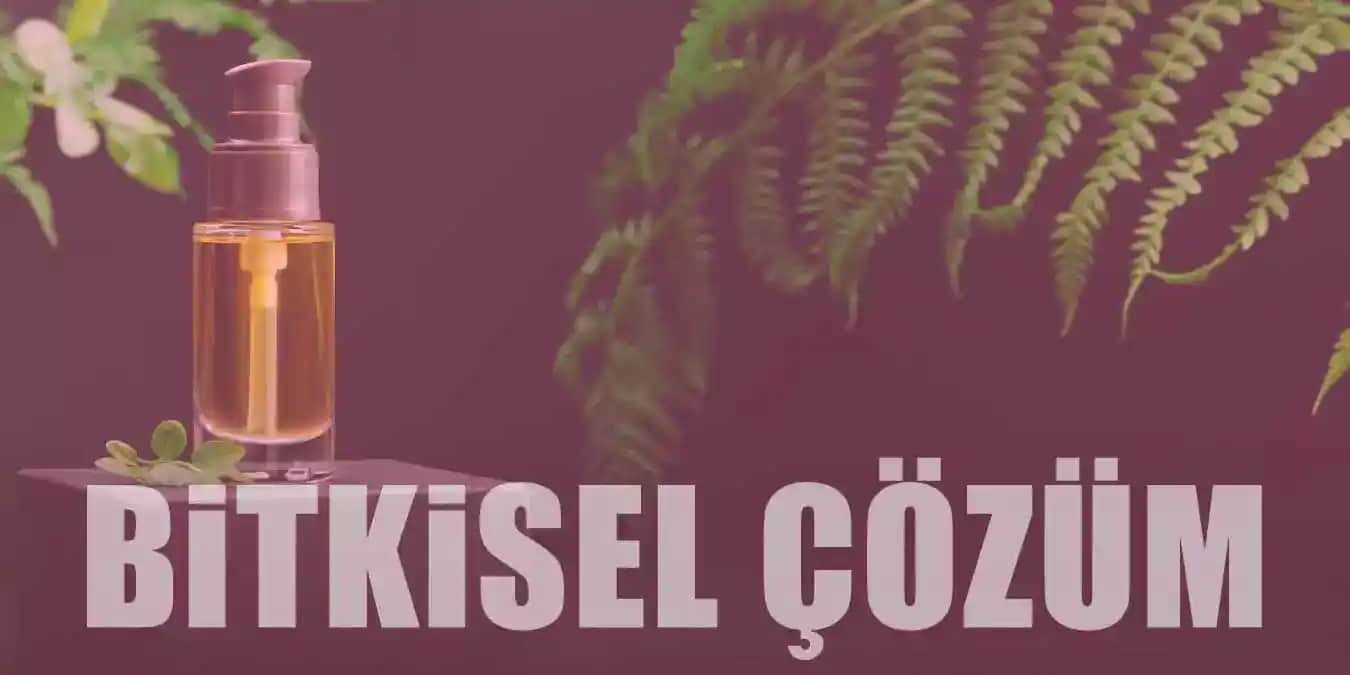 Saç Diplerindeki Kaşıntı ve Bitkisel Çözüm Yöntemleri Hakkında Detaylı Bilgi