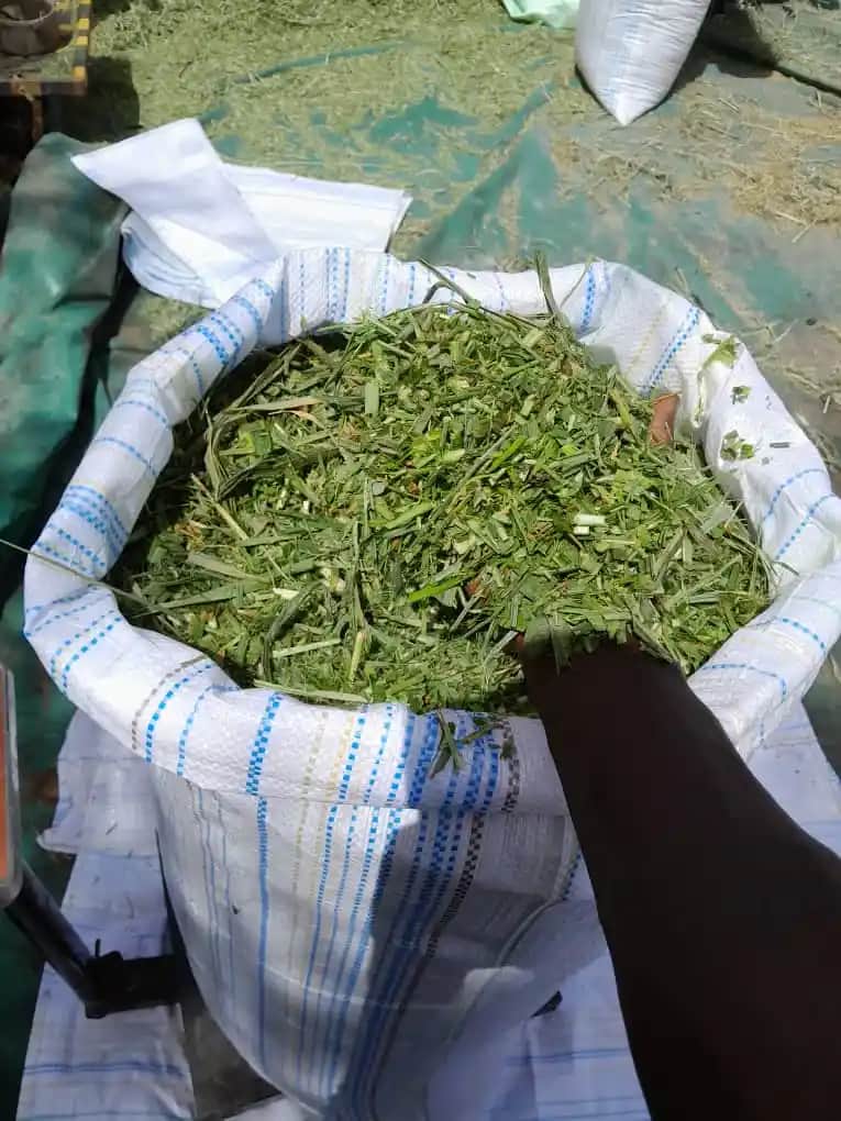 Saç Dökülmesi ve Ağrı: Nedenleri, Belirtileri ve Çözüm Yolları