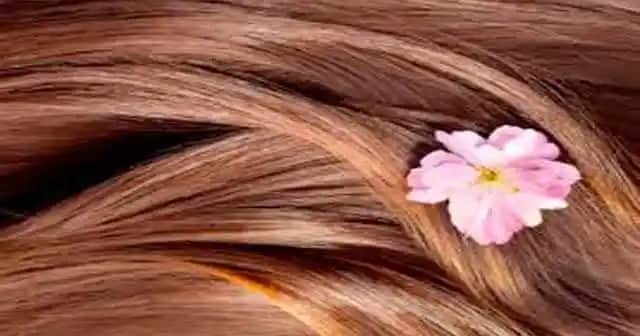 Saç Dökülmesine Karşı Kozmetik Yaklaşımlar ve Sağlıklı Saçlar İçin Öneriler