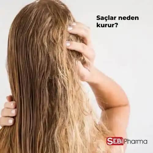 Saç Kuruluğunun Nedenleri ve Sağlıklı Saçlar İçin Bakım Yöntemleri