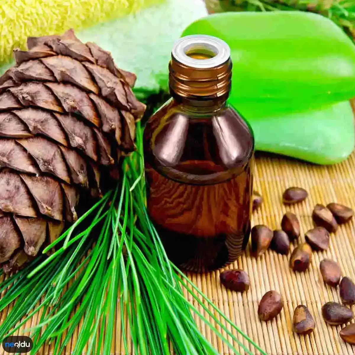 Saç Uzamasını Destekleyen Doğal Yağlar ve Kullanım Yöntemleri