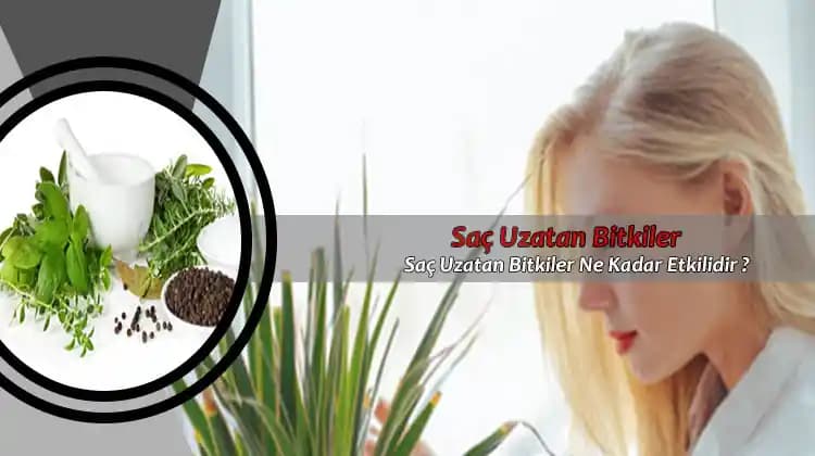 Saç Uzatan Bitkiler ve Doğal Yöntemlerle Sağlıklı Saçlara Ulaşma Rehberi