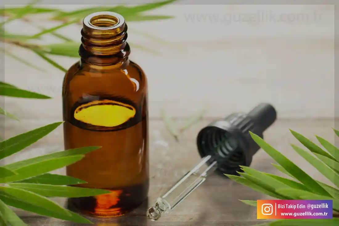 Sivilceler İçin Çay Ağacı Yağı Kullanımı ve Doğal Cilt Bakımı Yöntemleri