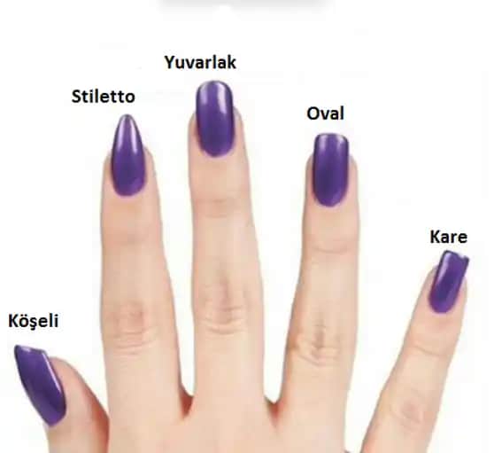 Tırnak Türleri ve Sağlıklı Bakım Yöntemleri Hakkında Detaylı Bilgi