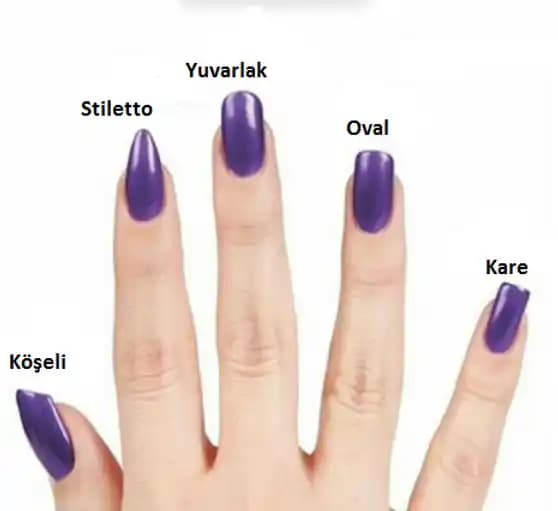 Tırnak Türleri ve Sağlıklı Bakım Yöntemleri Hakkında Detaylı Bilgi