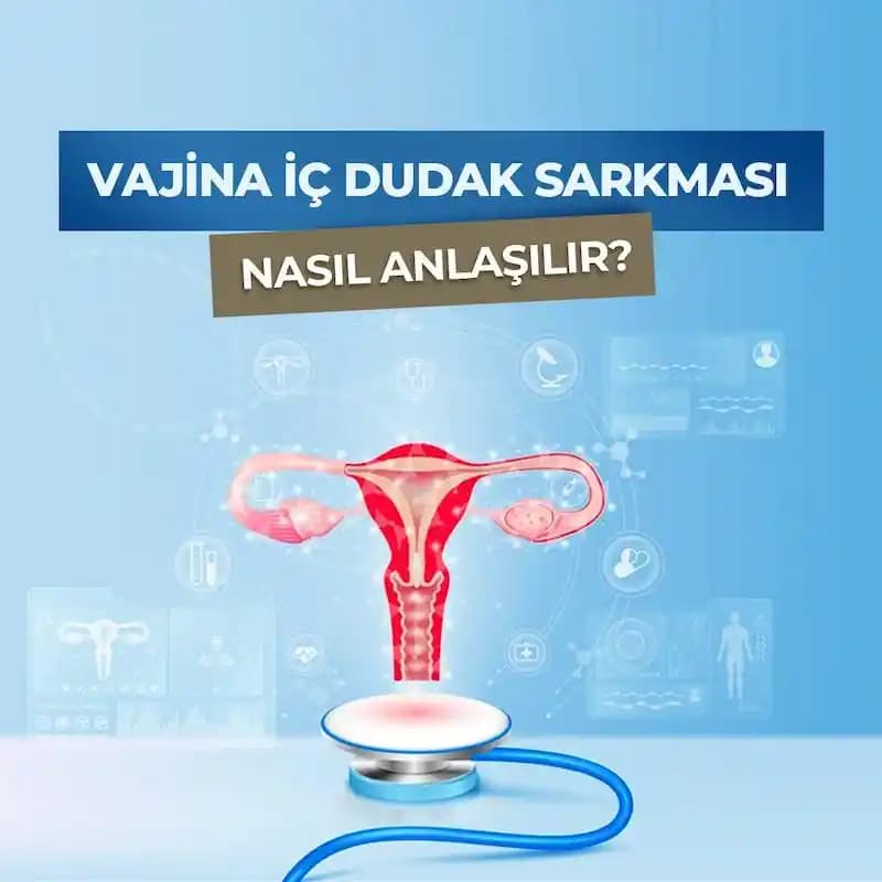 Vajina Temizliği ve Doğru Bakım Yöntemleri Kadın Sağlığı İçin Önemli Bilgiler