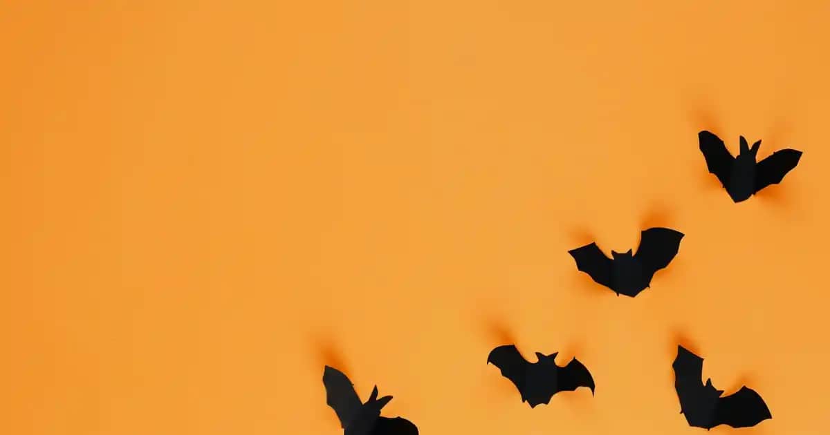 Vanilyalı Vücut Kremi: Doğal ve Etkili Cilt Bakımında Lüks Seçenekler