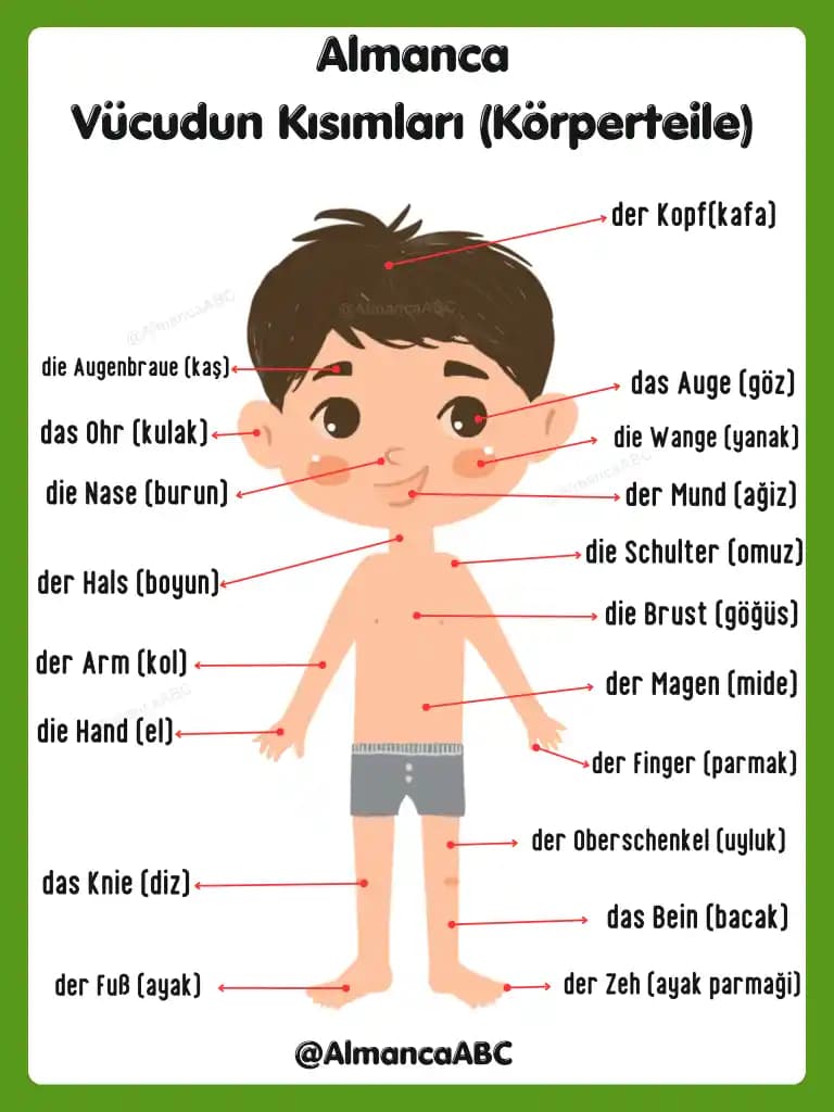 Vücut Kızarıklığına Karşı Etkili Kozmetik ve Bakım Yöntemleri