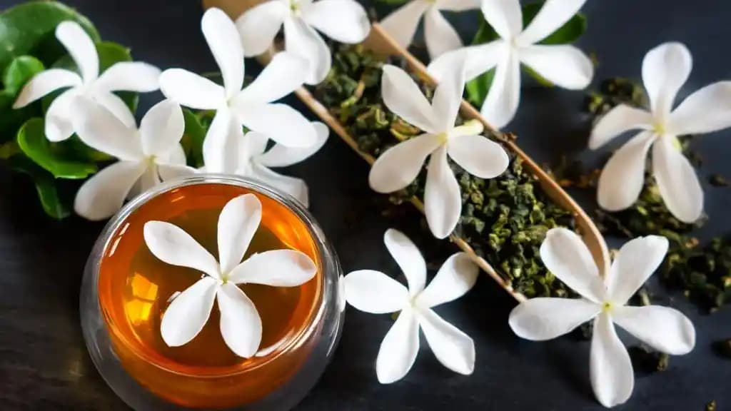 Yasemin Yağı ve Saç Sağlığına Faydaları: Doğal ve Etkili Kullanım Yöntemleri