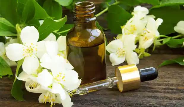 Yaseminli Parfümler: Çiçeksi Zarafetin ve Cazibenin En Güzel Temsilcisi