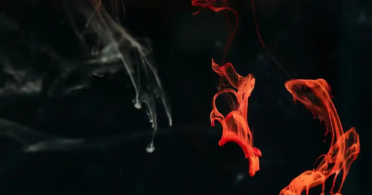 Yetişkinler için bebek güneş kremi kullanımı ve doğru güneş koruma yöntemleri