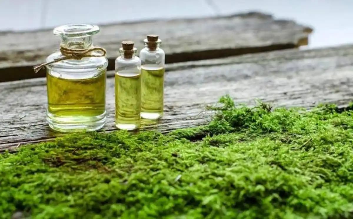 Yosun Yağı ile Doğal Güzellik ve Cilt Sağlığına Güçlü Destek Sağlayan Doğal Yağ