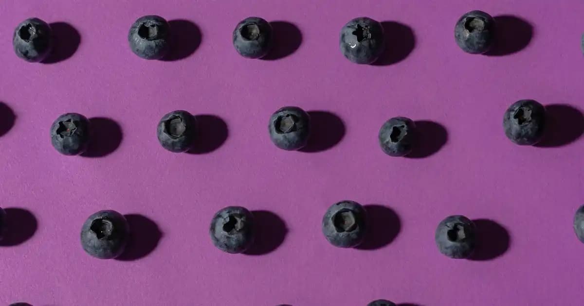Zip It Juliet Kozmetik Dünyasında Yenilikçi ve Kullanışlı Bir Aksesuar
