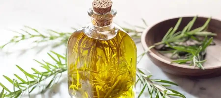 Biberiye Yağı ile Saç Bakımı: Doğal ve Etkili Saç Sağlığı Çözümleri