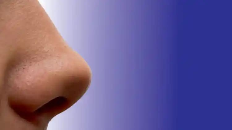 Burunda Egzama Nedir, Belirtileri ve Etkili Tedavi Yöntemleri Hakkında Kapsamlı Bilgi