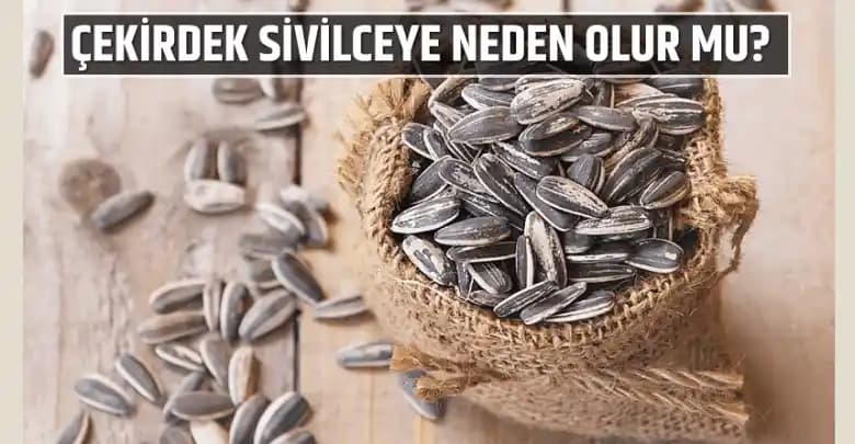 Çekirdek ve Sivilce İlişkisi: Cilt Sağlığını Etkileyen Faktörler ve Uzman Tavsiyeleri
