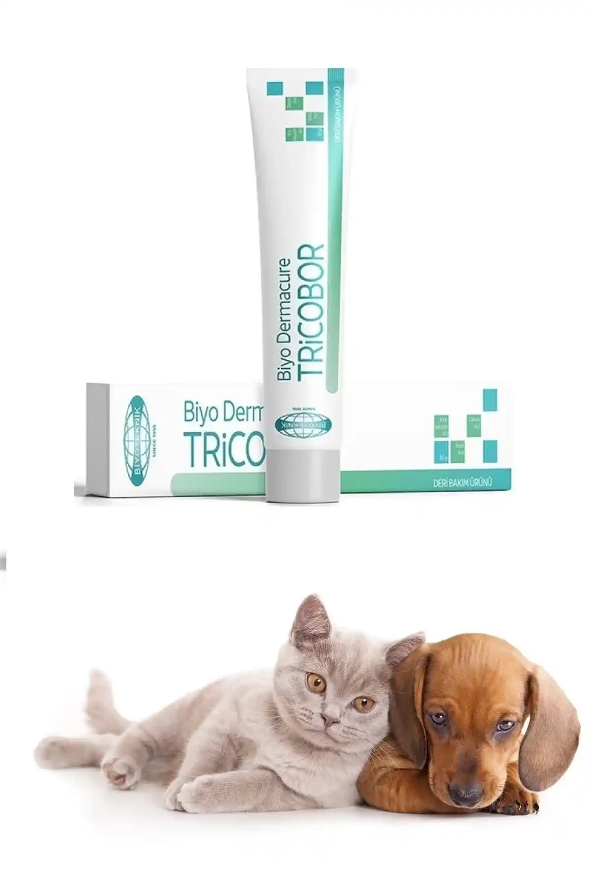 Deri Mantar Kremi Kullanımı ve Cilt Sağlığı İçin Bilmeniz Gerekenler