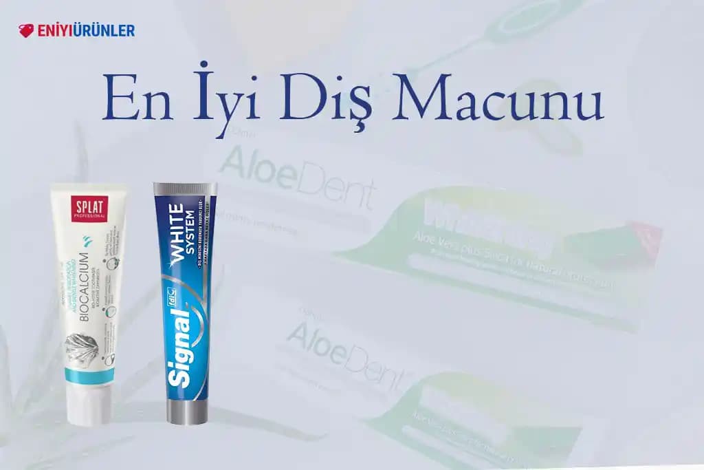 Diş Eti Sağlığını Destekleyen Doğru Diş Macunu Seçenekleri ve Bakım İpuçları