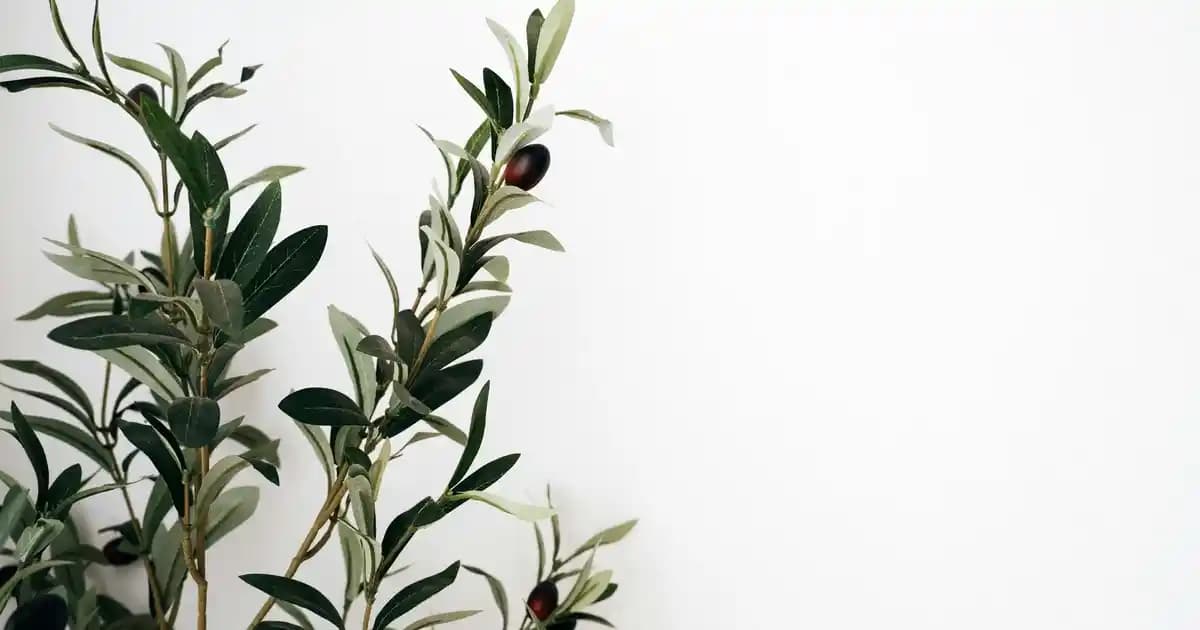 Medium Fondöten Nedir ve Cilt Güzelliğinde Nasıl Kullanılır