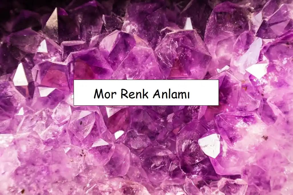 Mor Tokat Nedir ve Kozmetik Sektöründe Nasıl Bir Rol Oynar