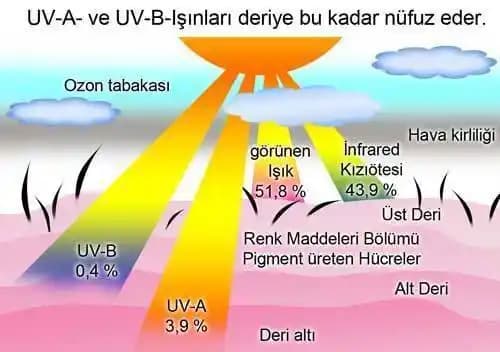 UVB Işınlarının Cilt Sağlığı Üzerindeki Etkileri ve Korunma Yöntemleri