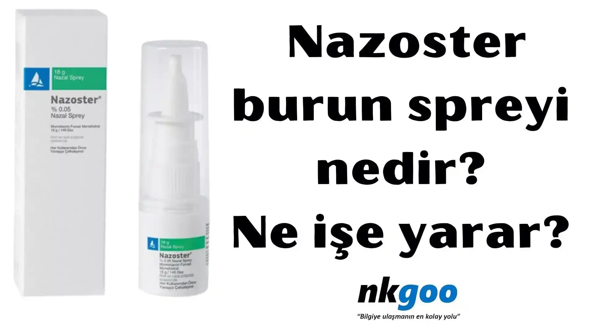 Burun Spreyi Nedir Kozmetikteki Yeri ve Kullanım İpuçları