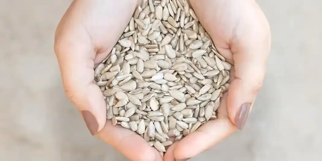 Çekirdek Sivilce Nedir, Nasıl Oluşur ve Etkili Çözüm Yöntemleri