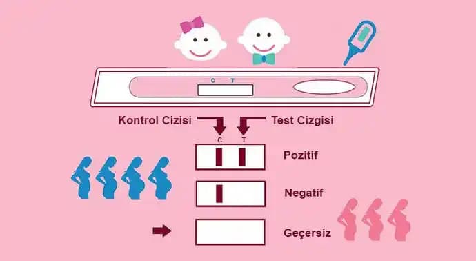 Gebelik Testi Çubuklarının Kullanımı, Güvenilirliği ve Kozmetik Dünyasındaki Yeri