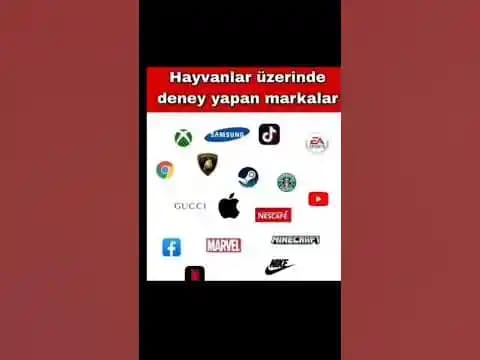 Kozmetik Sektöründe Hayvan Deneyleri ve Alternatif Test Yöntemleri Analizi