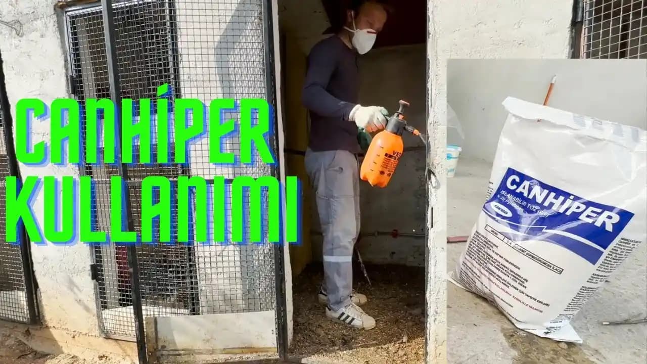 Kozmetik ve Cilt Bakımında Bit Kavramının Anlamı ve Doğru Kullanım Yöntemleri