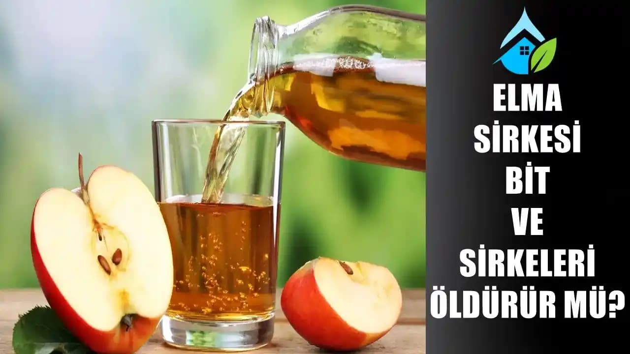 Kozmetik ve Cilt Sağlığı: Cilt Sorunlarının Nedenleri ve Korunma Yöntemleri