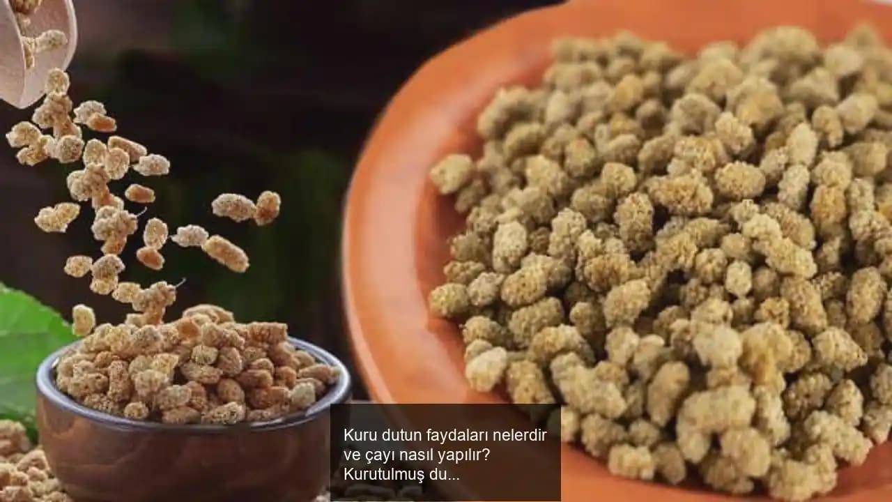 Kuru Dut Kozmetik Ürünleri ve Cilt Sağlığına Faydaları Hakkında Detaylı Bilgi