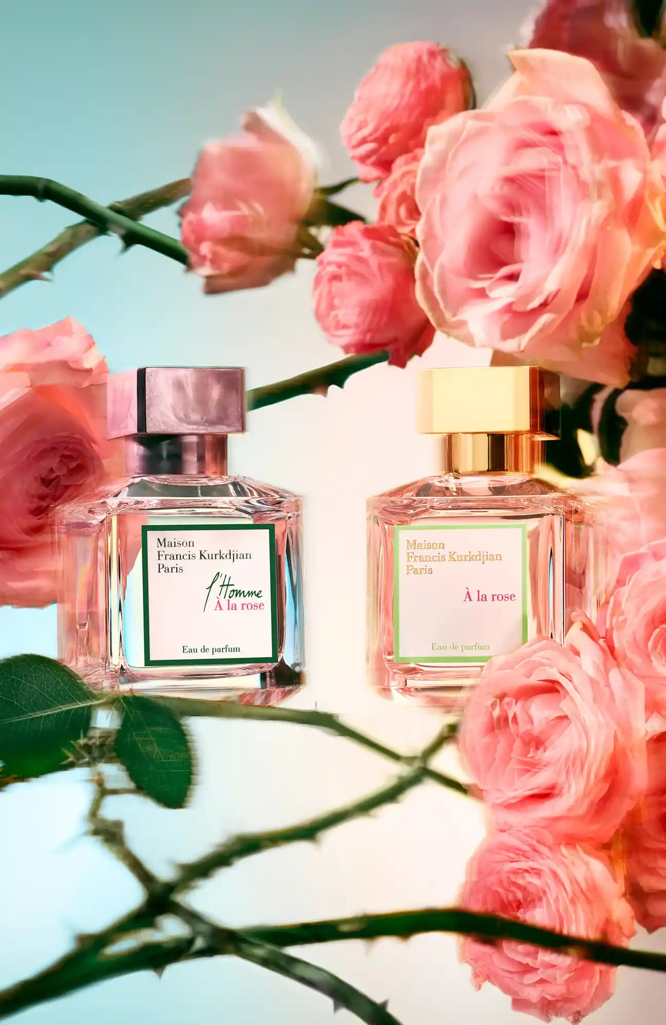 Maison Francis Kurkdjian ve Bargello Kodu: Kozmetikte Özgünlük ve Sanatın Buluşması