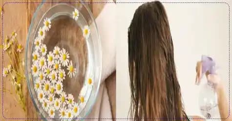 Papatya Çayı ile Saç Bakımı: Doğal ve Etkili Saç Sağlığı Yöntemleri