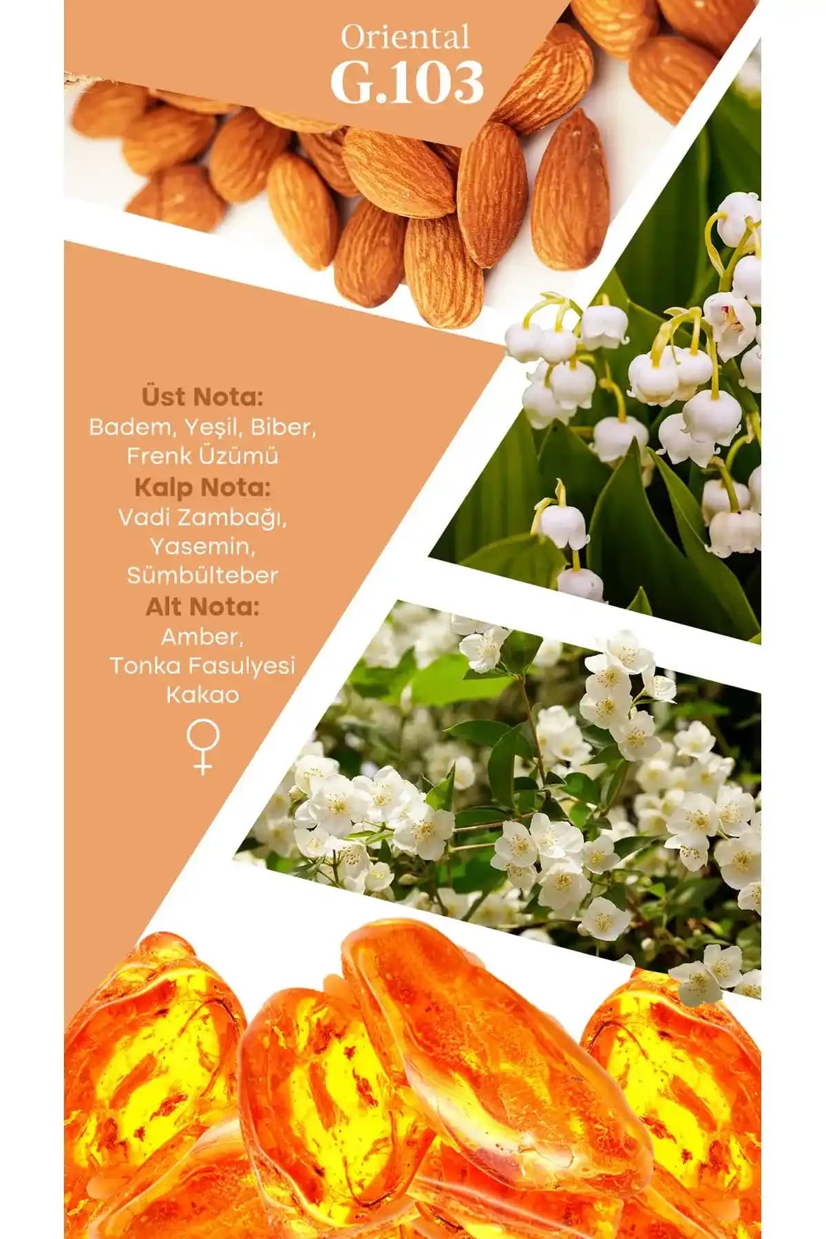 Mad G103 Terimi: Kozmetik ve Kişisel Bakım Alanında Bilgi Eksikliği ve Araştırma Sonuçları